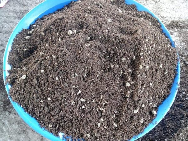 রেডিমিক্স মাটি Readymix Soil 50 KG