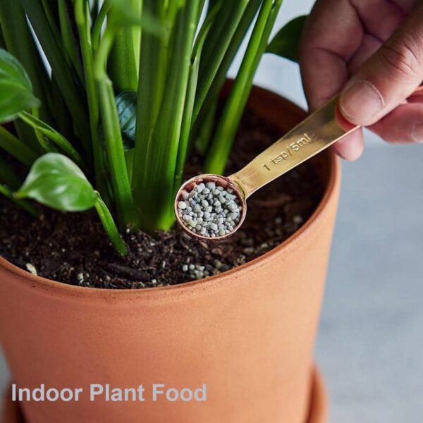 Indoor Plant Care Pack