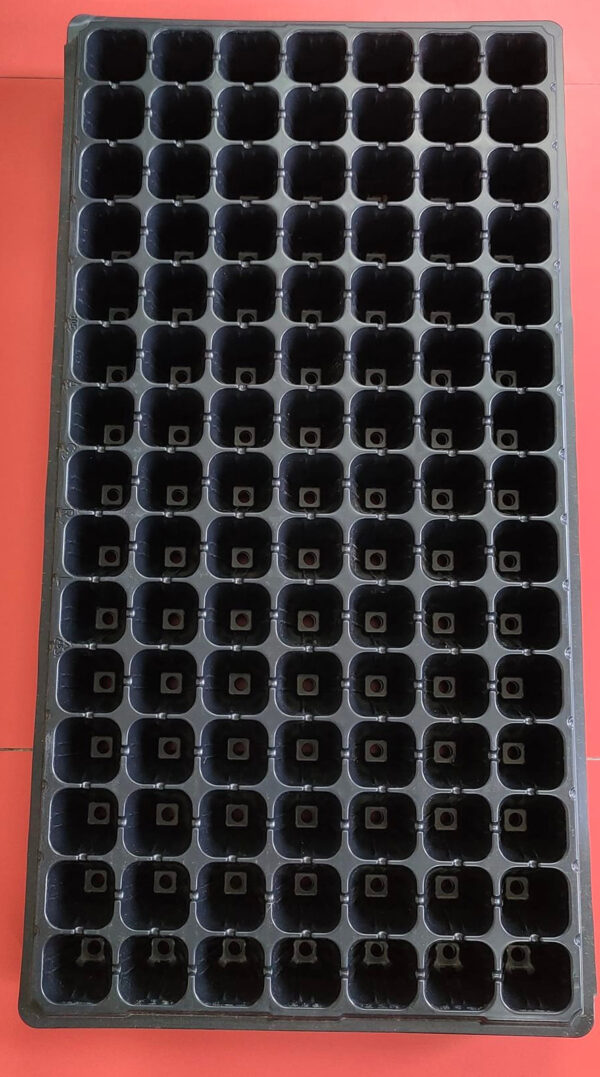 Seedling Tray সীডলিং ট্রে ১২৮ ও ১০৫ সেল