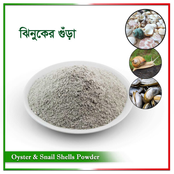 ঝিনুক গুড়া (Oyster Shell Powder)