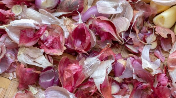 পেঁয়াজের খোসা "Onion Peel" বা "Onion Skin" ১ কেজি